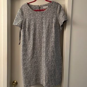 Calvin Klein black and white stripe dress 16